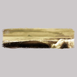 WHITEISLAND WAVES - Mens Premium Crew Design