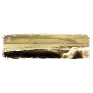 WHITEISLAND WAVES - Mens Lowdown Singlet Design